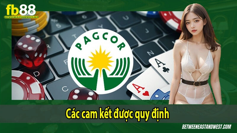 Cam kết vận hành sau khi được cấp phép
