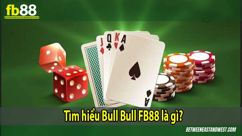Tìm hiểu Bull Bull là gì?